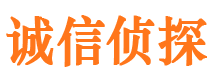 双塔诚信私家侦探公司